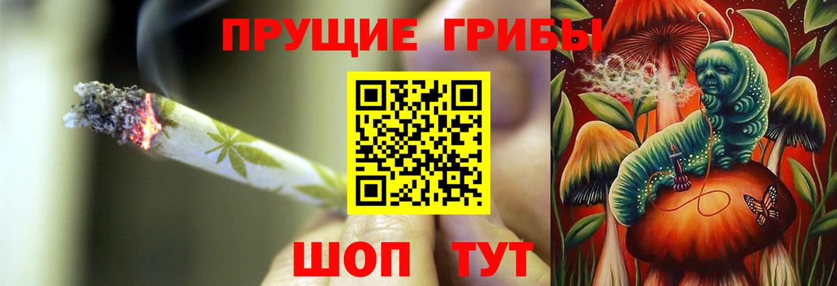 Галлюциногенные грибы MAGIC MUSHROOMS  Псилоцибиновые грибы Magic Shrooms  Вход с VPN  как найти наркотики  Пугачёв 
